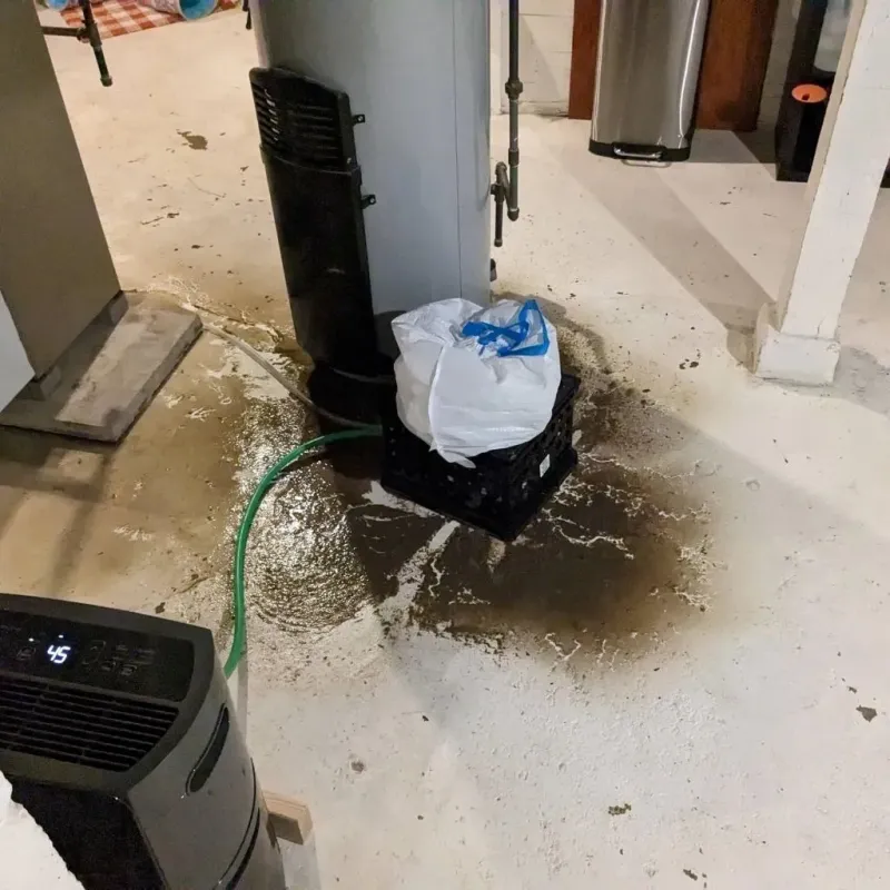 Sewage Backup Cleanup Service in Allendale, SC